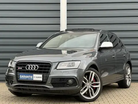 Annonce AUDI SQ5 Diesel 2016 d'occasion 