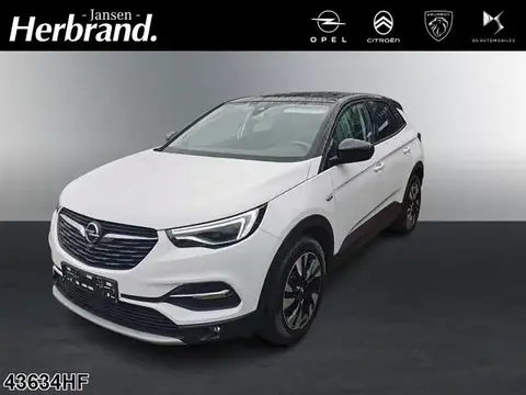 Used OPEL GRANDLAND Petrol 2021 Ad 