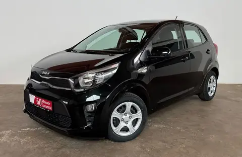 Used KIA PICANTO Petrol 2024 Ad 