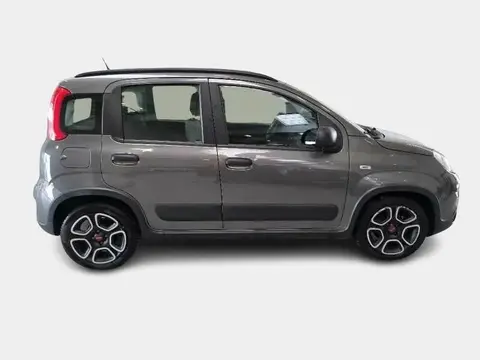 Used FIAT PANDA Hybrid 2021 Ad 