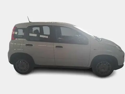 Used FIAT PANDA Hybrid 2023 Ad 