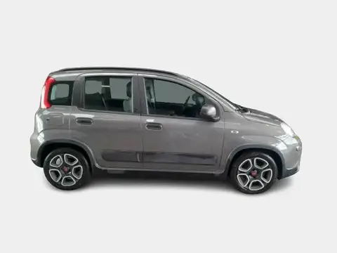 Annonce FIAT PANDA Hybride 2021 d'occasion 