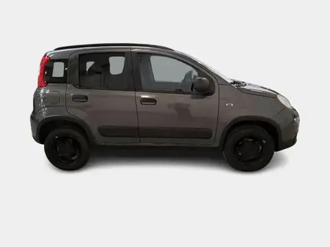 Used FIAT PANDA Petrol 2019 Ad 