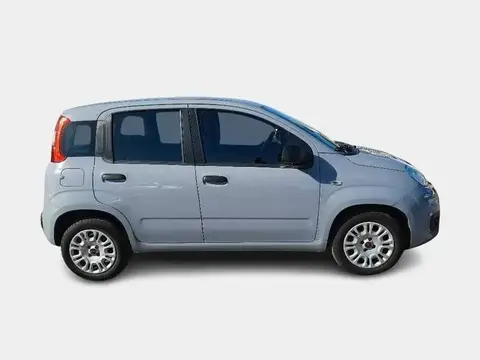 Annonce FIAT PANDA Essence 2020 d'occasion 