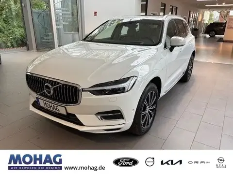 Annonce VOLVO XC60 Hybride 2021 d'occasion 