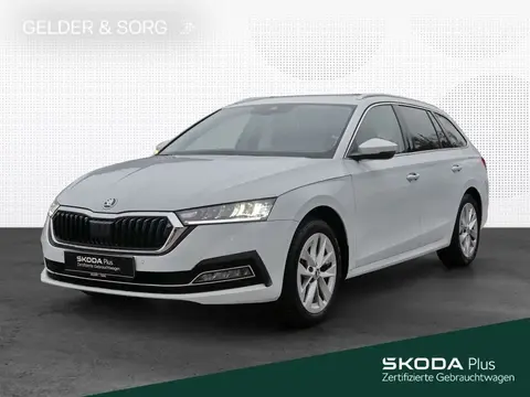 Used SKODA OCTAVIA Petrol 2024 Ad 