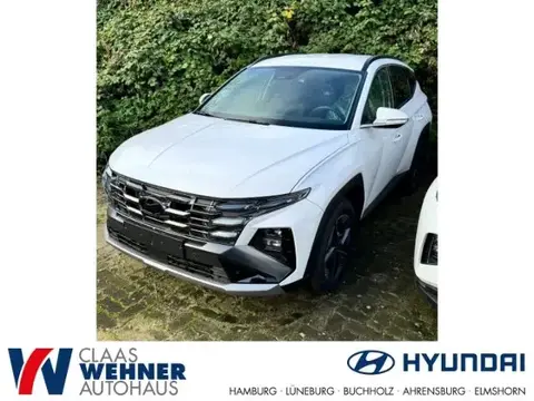 Used HYUNDAI TUCSON Hybrid 2024 Ad 