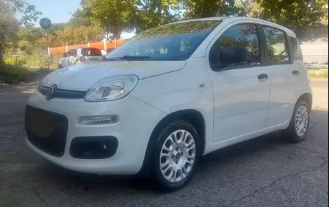 Annonce FIAT PANDA Essence 2019 d'occasion 