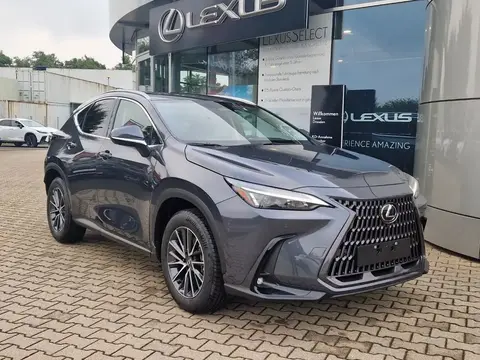 Annonce LEXUS NX Hybride 2024 d'occasion 