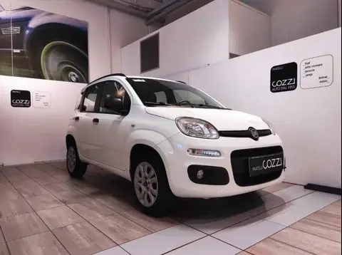 Used FIAT PANDA  2017 Ad 