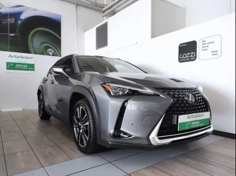 Used LEXUS UX Hybrid 2019 Ad 