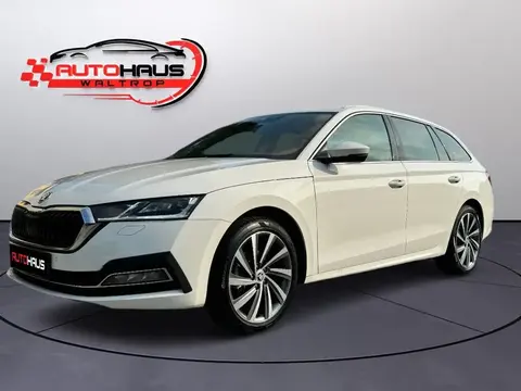 Used SKODA OCTAVIA Petrol 2021 Ad 