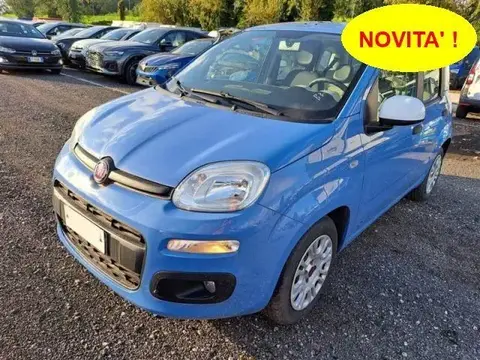 Used FIAT PANDA Diesel 2016 Ad 