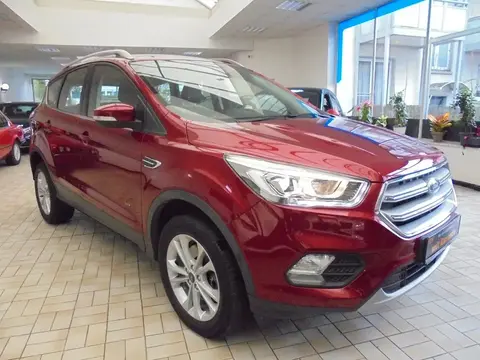 Annonce FORD KUGA Essence 2019 d'occasion 