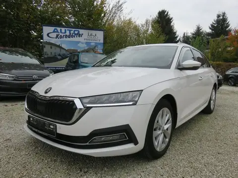 Used SKODA OCTAVIA Diesel 2021 Ad 