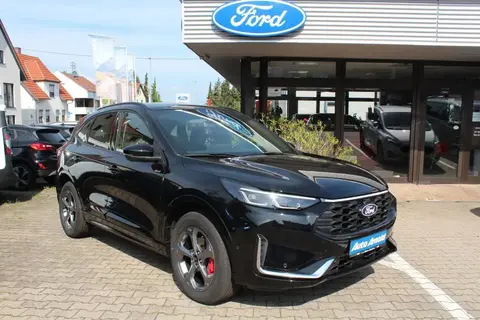 Annonce FORD KUGA Hybride 2024 d'occasion 