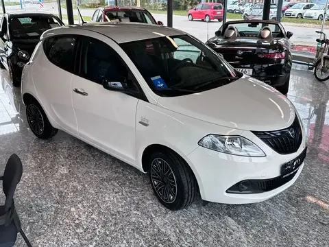 Annonce LANCIA YPSILON Essence 2024 d'occasion 