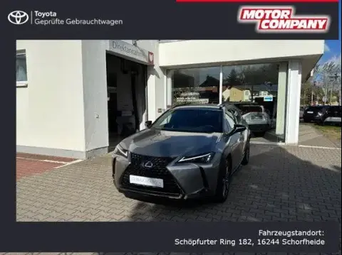 Used LEXUS UX Hybrid 2021 Ad 