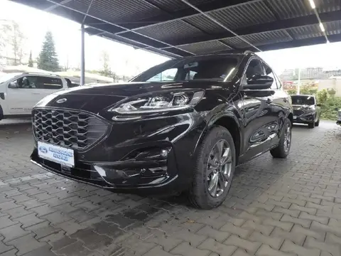 Used FORD KUGA Hybrid 2023 Ad 