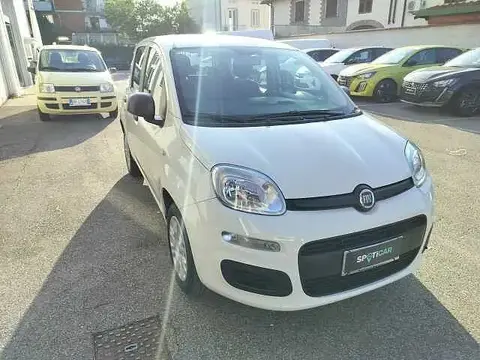 Used FIAT PANDA Petrol 2018 Ad 