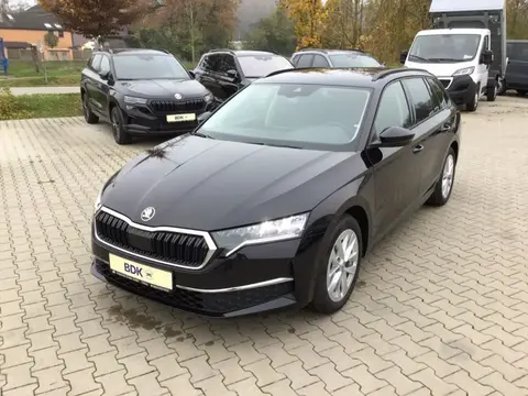 Annonce SKODA OCTAVIA Essence 2024 d'occasion 