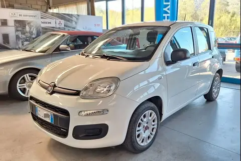 Annonce FIAT PANDA Essence 2020 d'occasion 