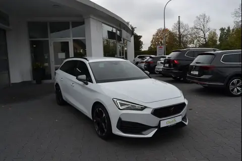 Used CUPRA LEON Petrol 2023 Ad 