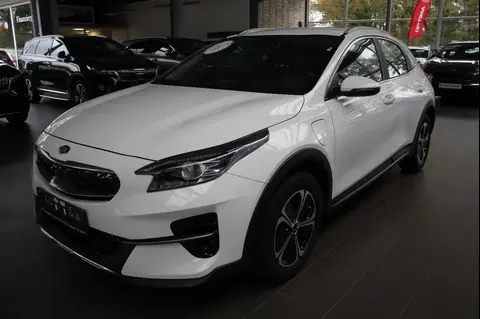 Used KIA XCEED Hybrid 2021 Ad 