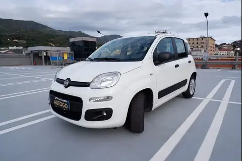 Annonce FIAT PANDA Essence 2020 d'occasion 