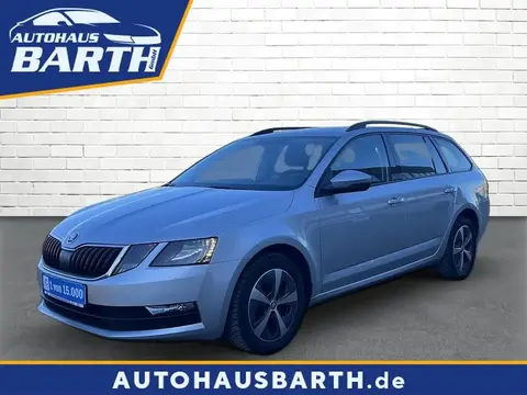 Used SKODA OCTAVIA Diesel 2019 Ad 