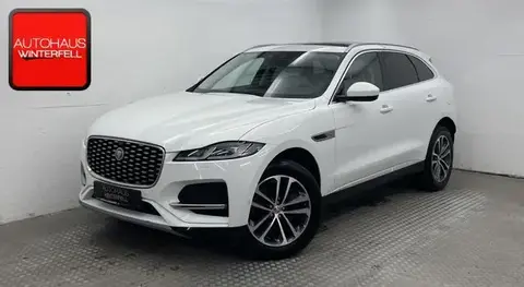 Used JAGUAR F-PACE Petrol 2021 Ad 