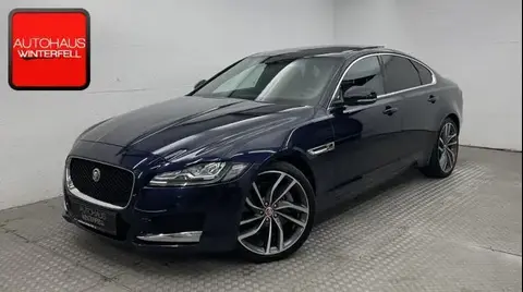 Annonce JAGUAR XF Diesel 2016 d'occasion 