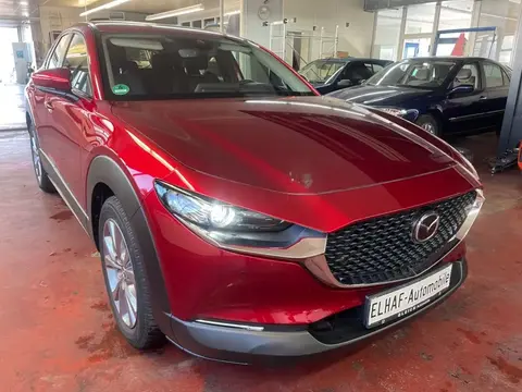 Annonce MAZDA CX-30 Essence 2019 d'occasion Allemagne