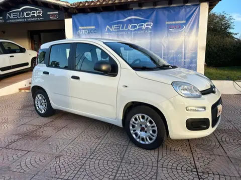 Used FIAT PANDA Petrol 2019 Ad 