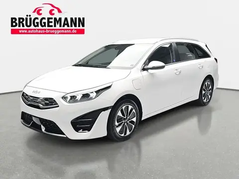 Used KIA CEED Hybrid 2024 Ad 