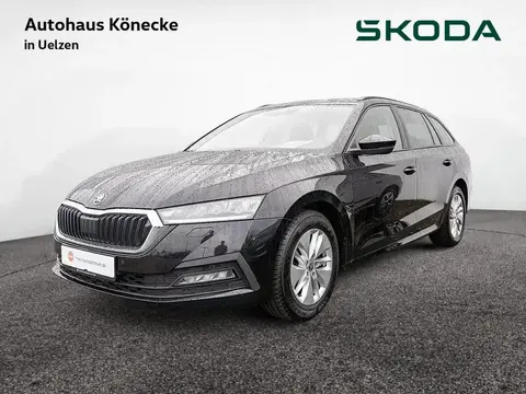 Annonce SKODA OCTAVIA Diesel 2021 d'occasion 