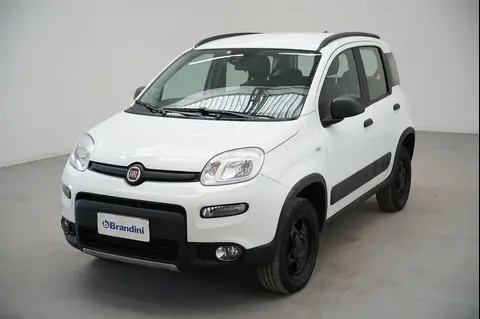 Used FIAT PANDA Petrol 2022 Ad 