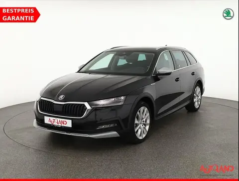 Annonce SKODA OCTAVIA Diesel 2021 d'occasion 