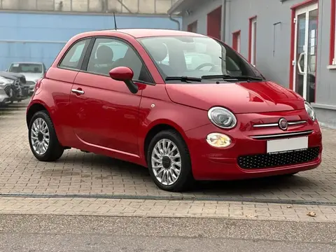 Used FIAT 500 Petrol 2021 Ad 