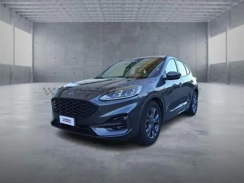 Annonce FORD KUGA Diesel 2023 d'occasion 