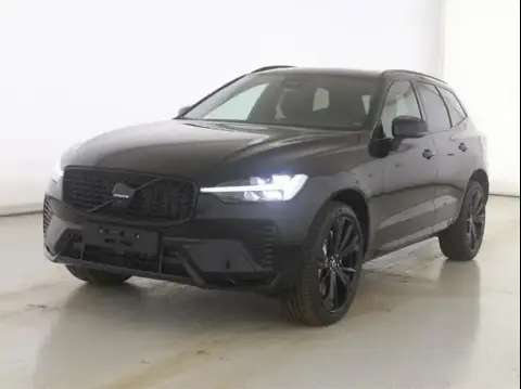 Used VOLVO XC60 Petrol 2024 Ad 