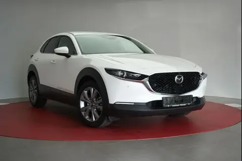 Annonce MAZDA CX-30 Essence 2024 d'occasion Allemagne