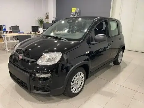 Used FIAT PANDA Hybrid 2024 Ad 