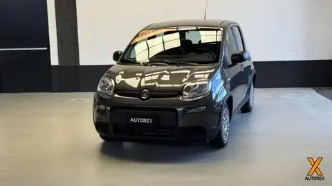 Annonce FIAT PANDA Hybride 2022 d'occasion 