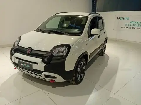 Annonce FIAT PANDA Hybride 2024 d'occasion 