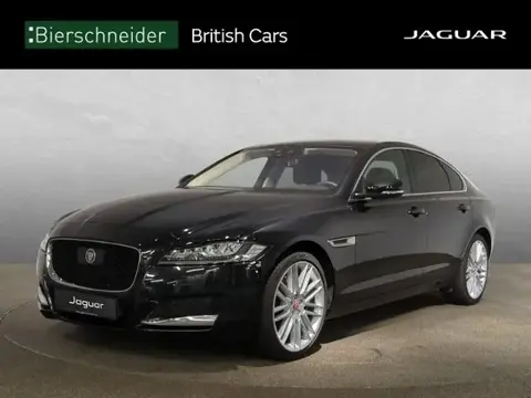 Annonce JAGUAR XF Essence 2020 d'occasion 