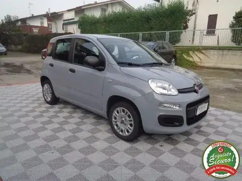 Annonce FIAT PANDA Essence 2020 d'occasion 