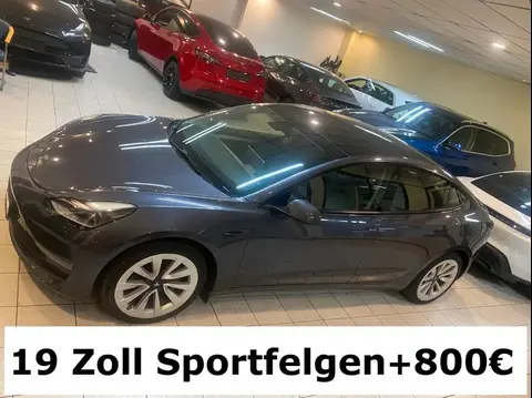 Used TESLA MODEL 3 Not specified 2021 Ad 