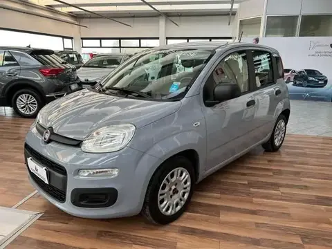 Annonce FIAT PANDA Hybride 2020 d'occasion 