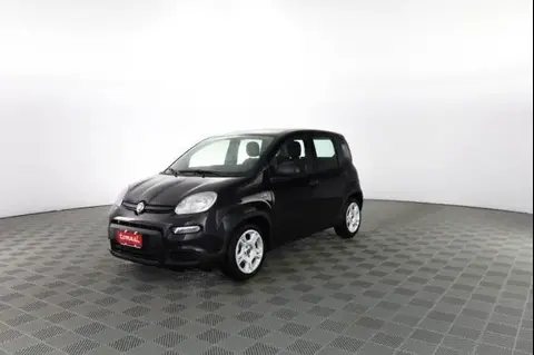 Annonce FIAT PANDA Hybride 2024 d'occasion 